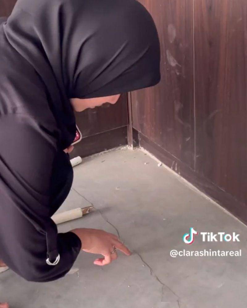 Tiktok.com/clarashintareal